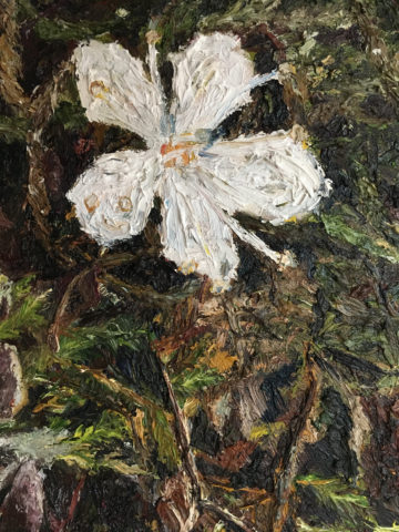 Painting of flower by Magdalen College School A-level pupil