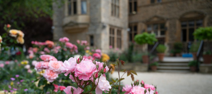 Rose garden Magdalen College School Oxford