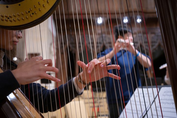 Magdalen College School pupil playing the harp