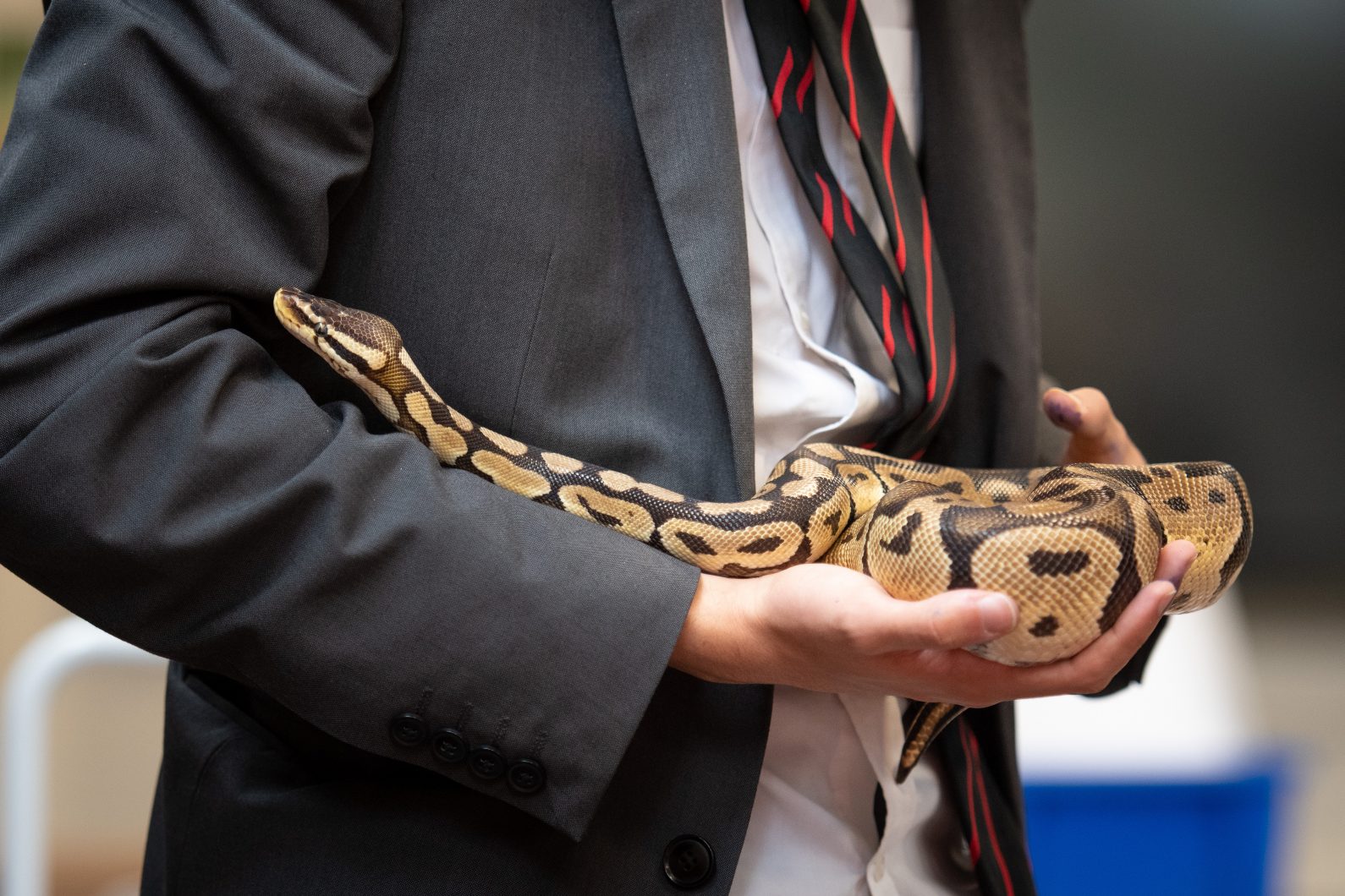 Magdalen College School pupil holding snake