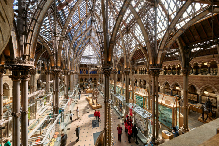 Photo of Oxford Museum of Natural History